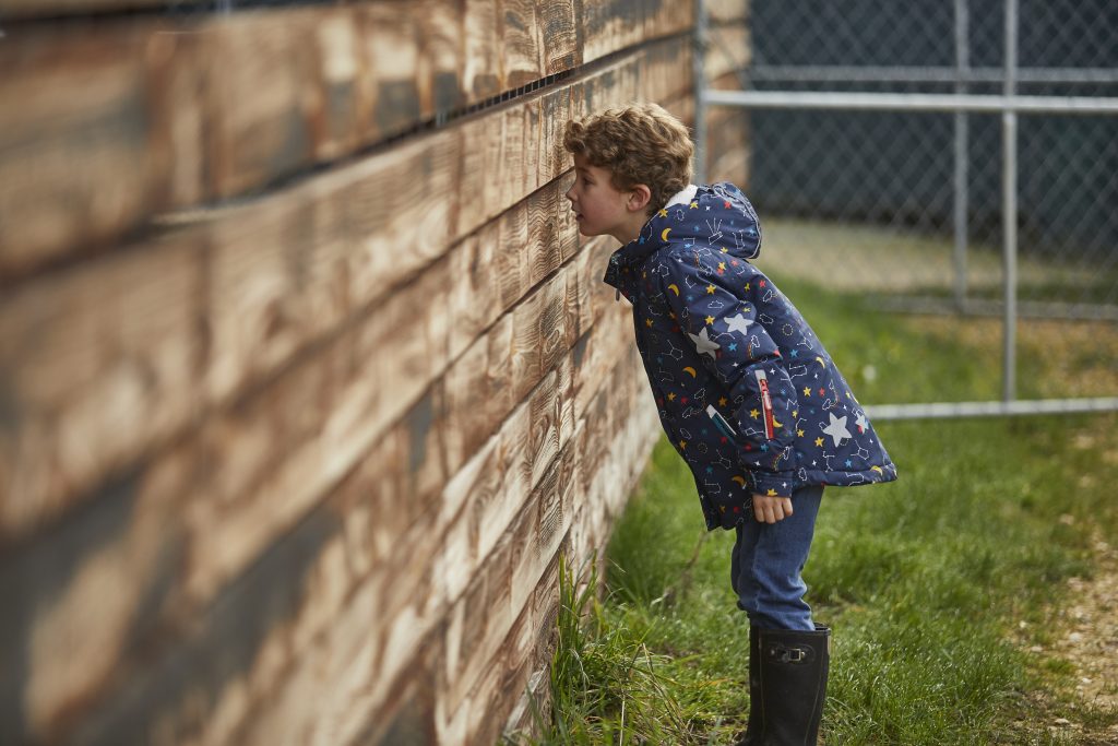Sneak peek event at the farm, boy looking through fencing at the deer