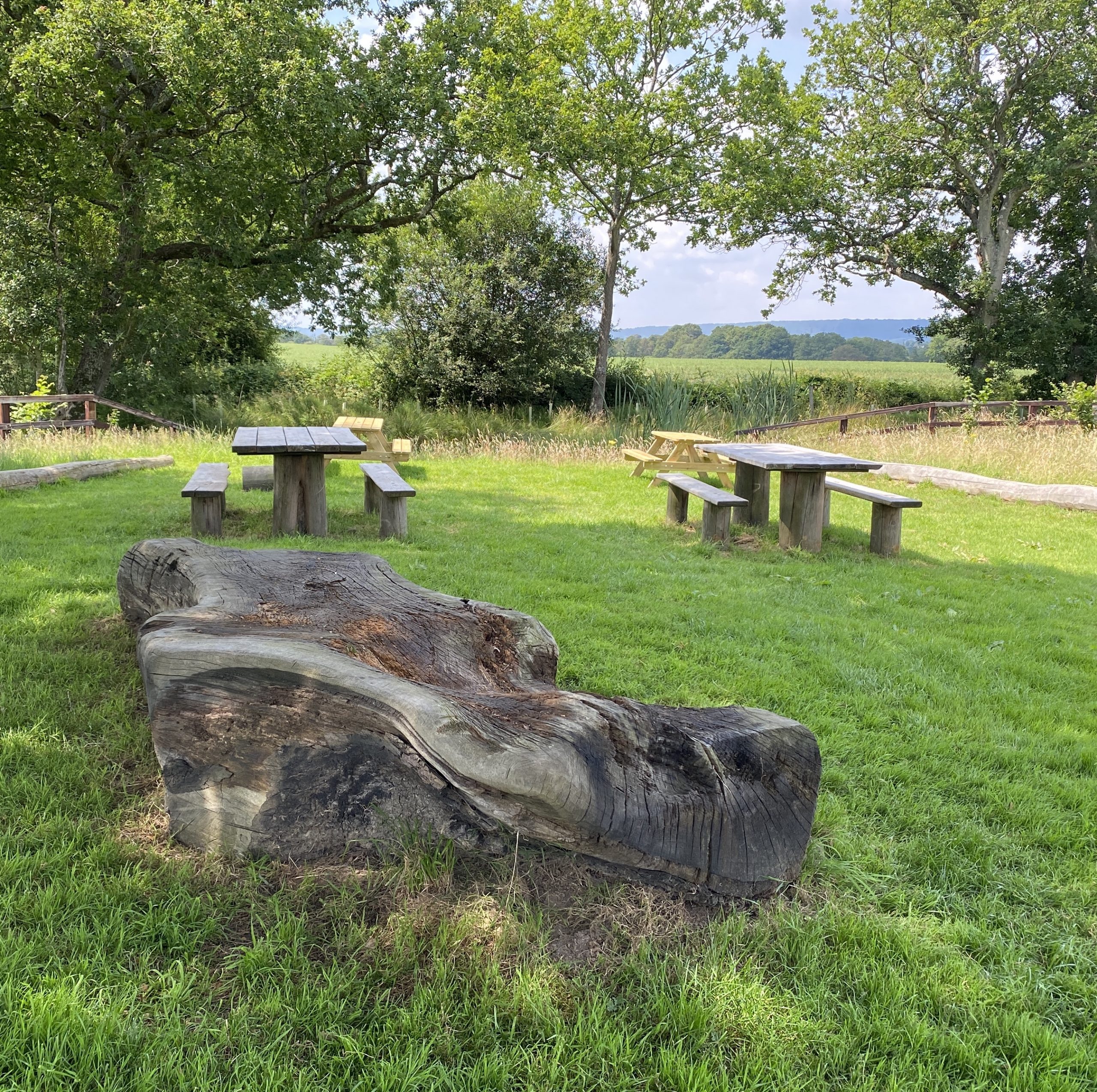 Dew pond picnic area at Sky Park Farm