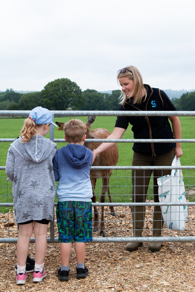 Ranger Lily feeding the red deer at Sky Park Farm