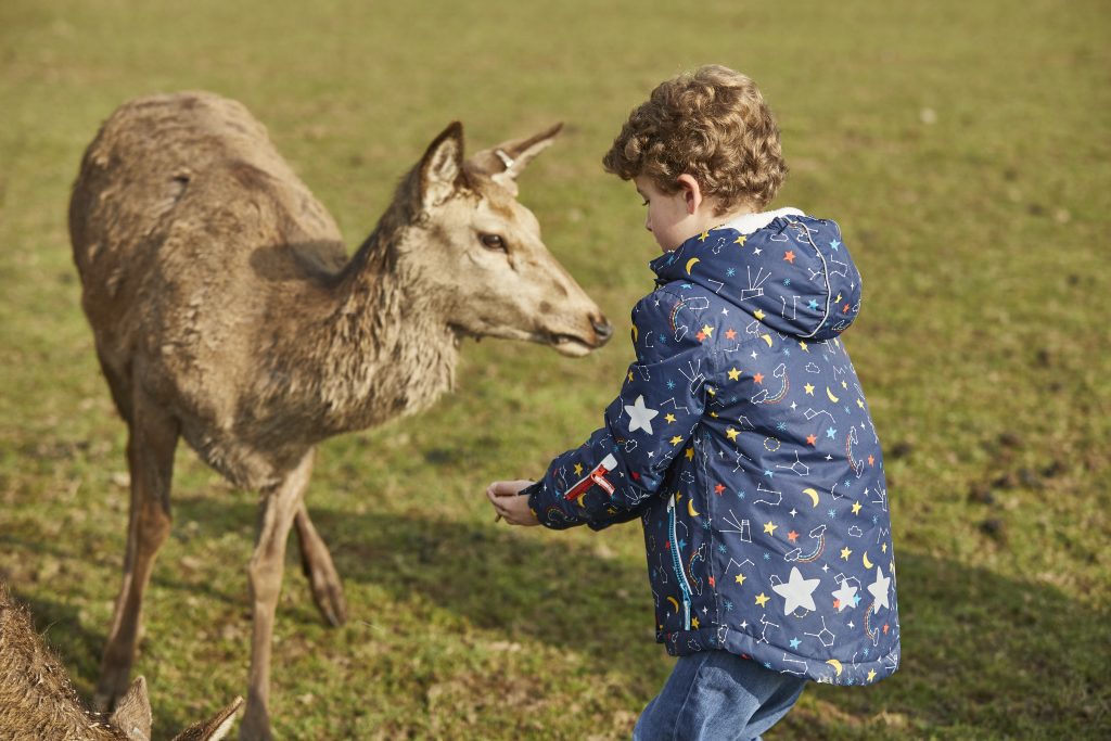 Boy feeding a deer at Sky Par Farm