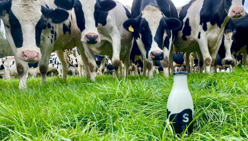 Fresh meon valley milk in front of the milk bottle