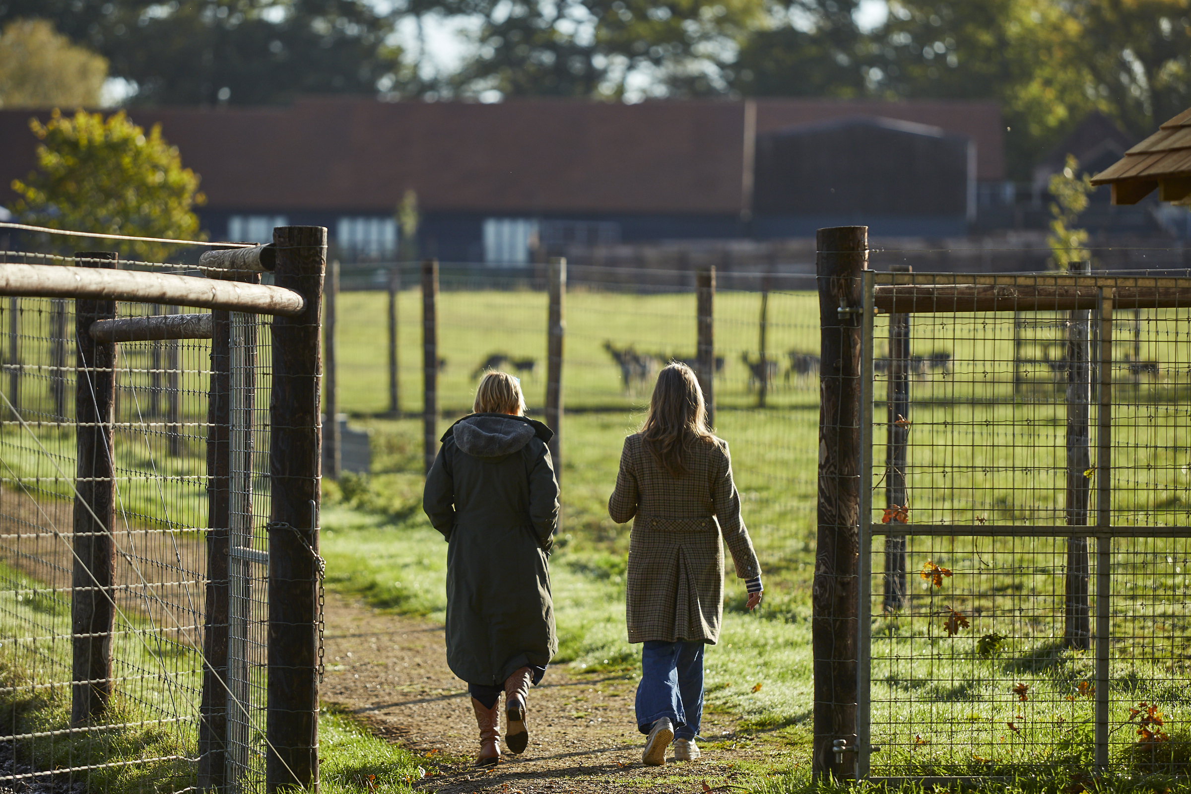 Walking the Farm Trail at Sky Park Farm