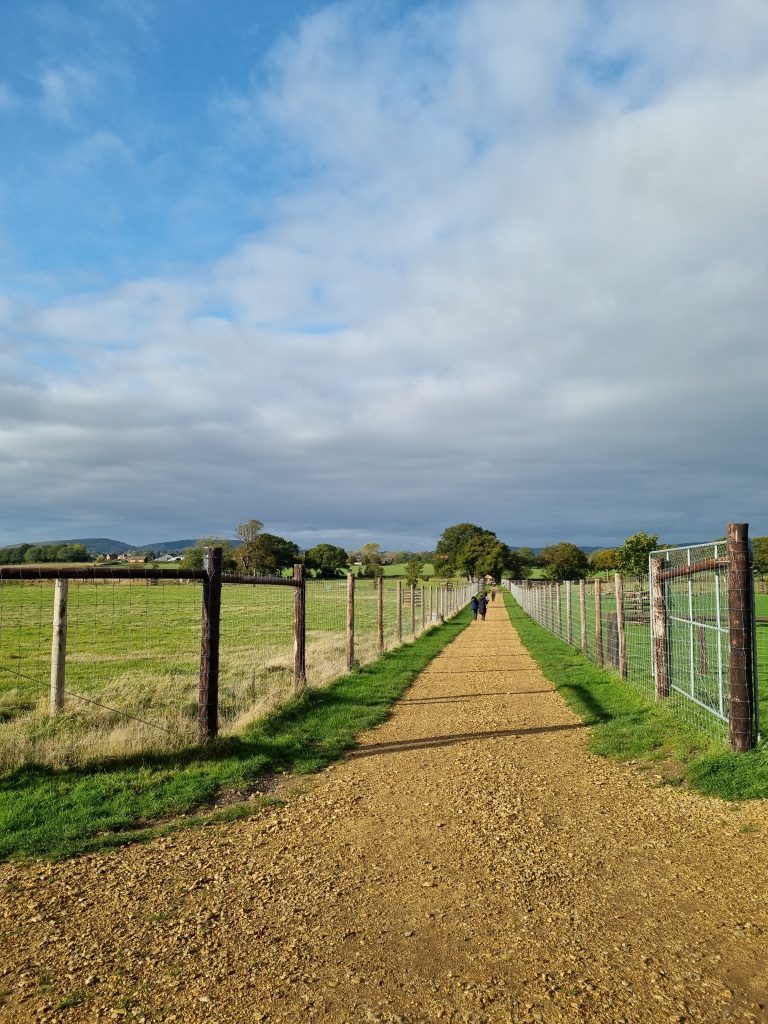 The trail at Sky Park Farm