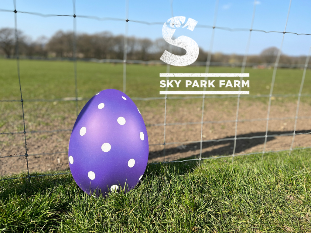 Large coloured wooden Easter Egg at Deer Feeding Station at Sky Park Farm
