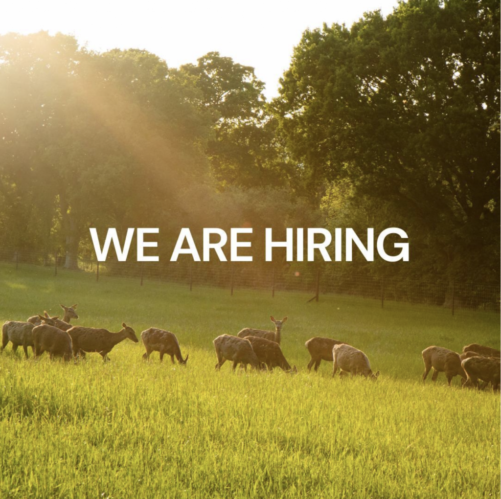 Photo of deer, caption says we are hiring
