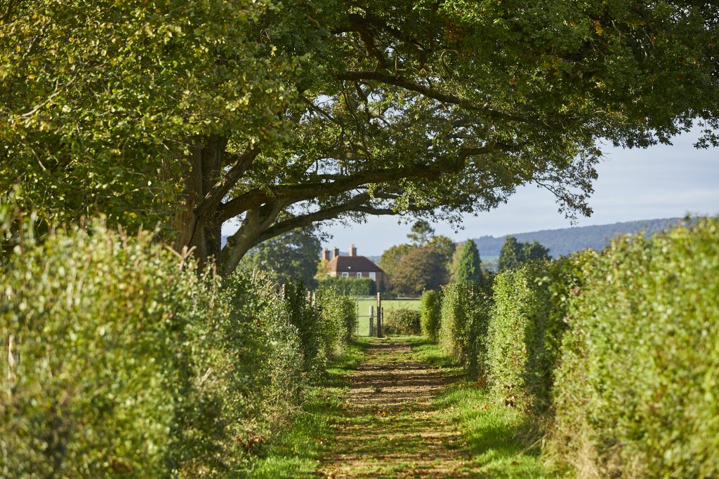 Footpath passing through Sky Park Farm surrounded by trees and hedging