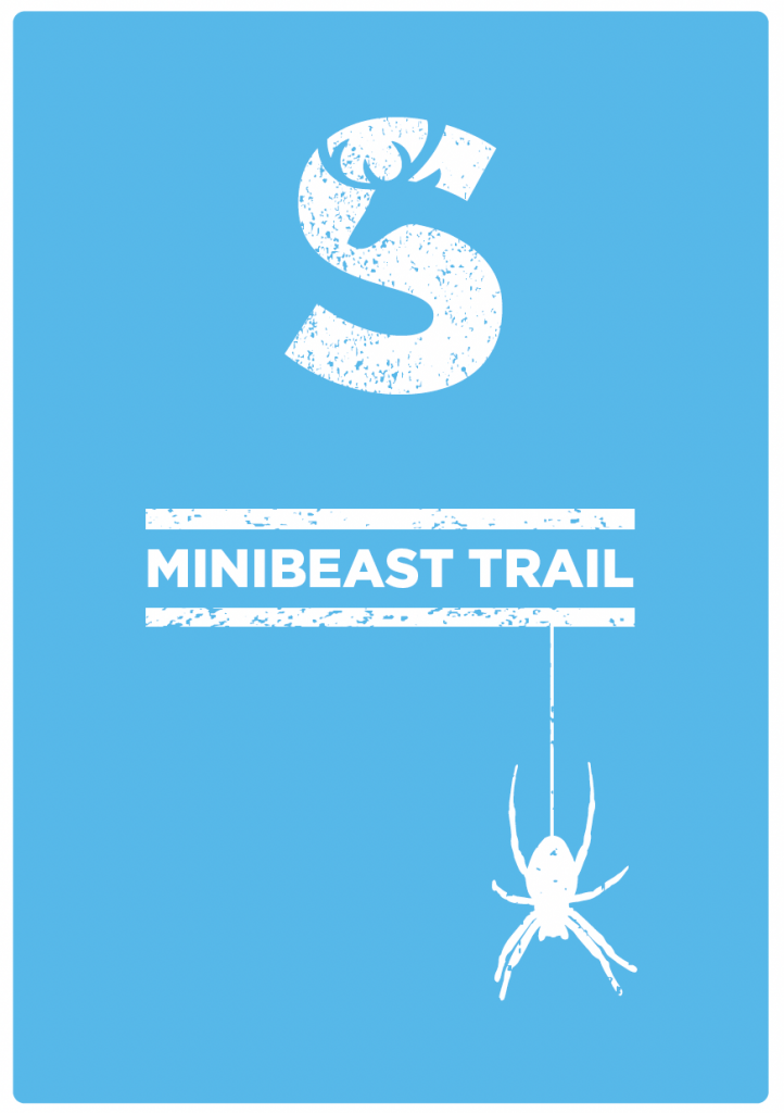 Image of spider hanging from minibeast sign