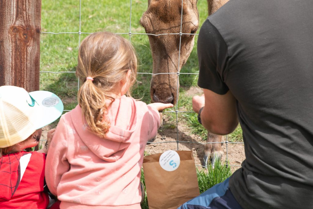 A father and two children feeding deer