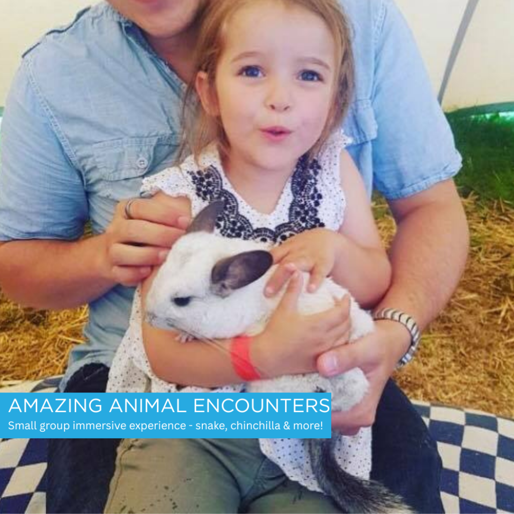 Image showing child holding a Chinchilla at animal encounter at Sky Park Farm