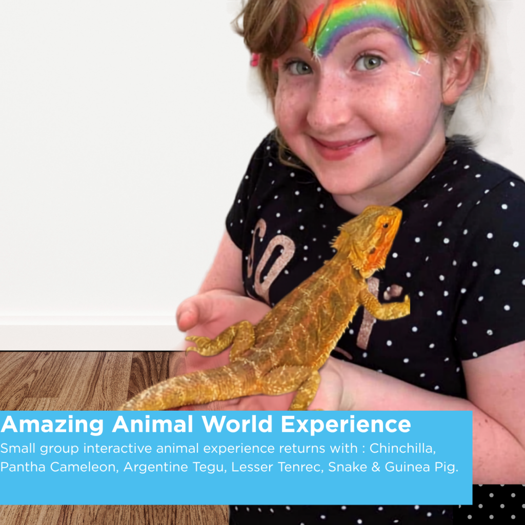 mazing Animal World Experience at Sky Park Farm Tuesday 27th October Half Term