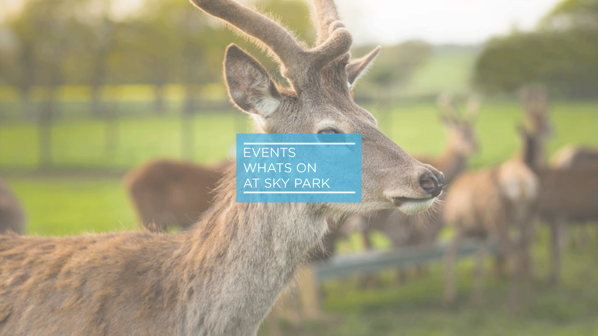 October Half-Term Workshops at Sky Park Farm, from Sky Park Farm