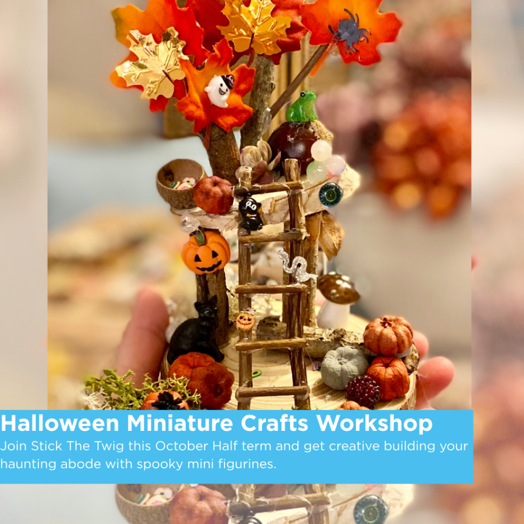 Haunted Miniature Craft Workshop at Sky Park Farm Friday 30th October Half Term