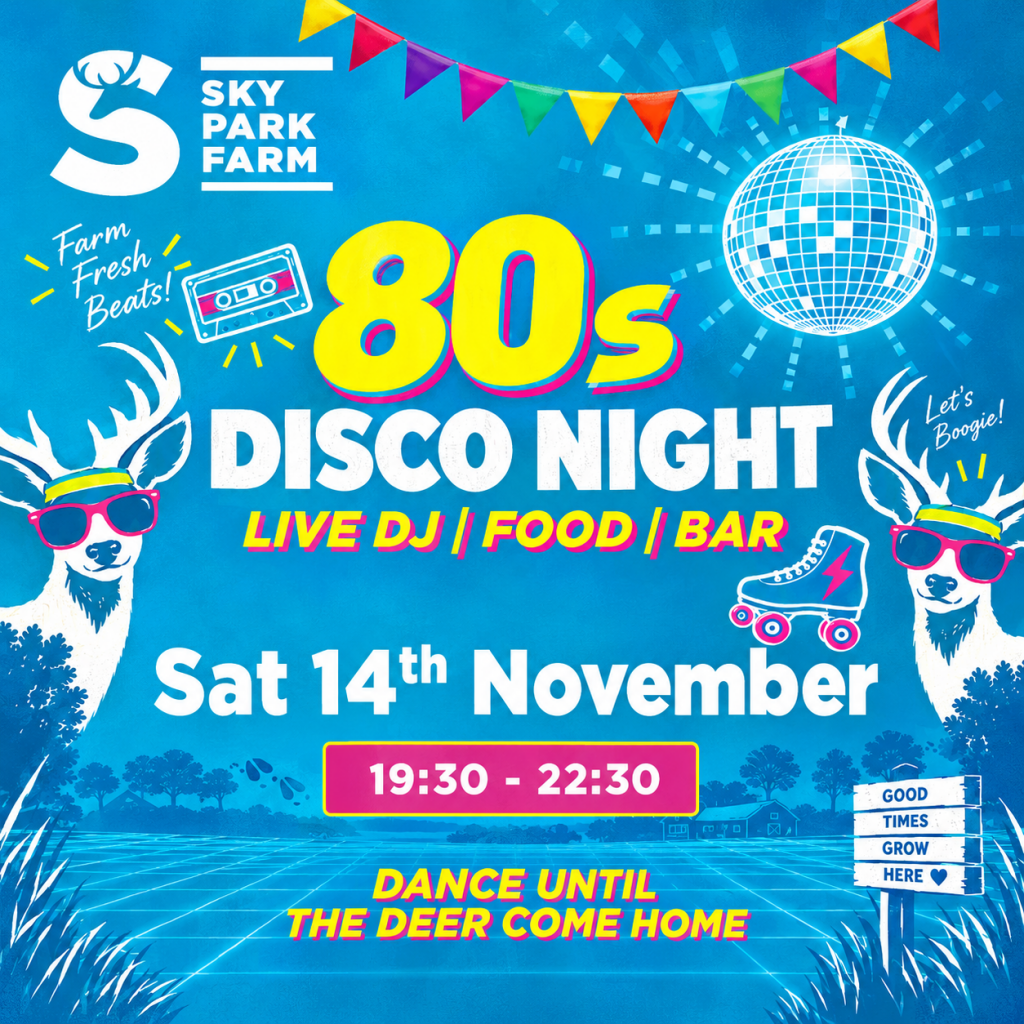 poster for 80s live DJ, food and drinks